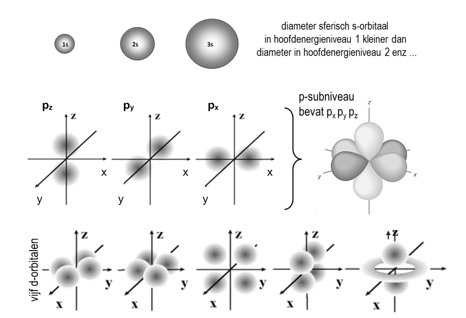 <ul><li><p>sferische s-orbitalen</p></li><li><p>haltervormige (dubbellobige) p-orbitalen in drie orientaties (px,py,pz) </p></li><li><p>meer complexe d-orbitalen (5 verschillende vormen) </p></li><li><p>f-orbitalen (7 verschillende vormen)</p></li></ul>