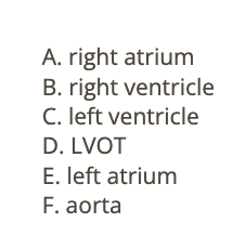 <p>e) left atrium</p>