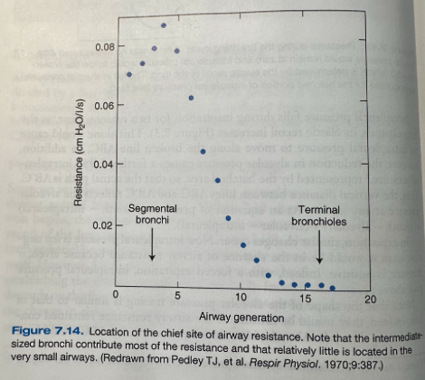 <p>The medium-sized bronchi</p><p>The very small bronchioles contribute relatively little resistance</p><ul><li><p>This is due to the large number of small airways</p></li></ul><p></p>