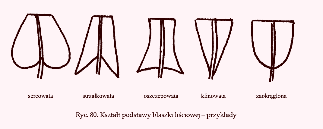 <p></p>