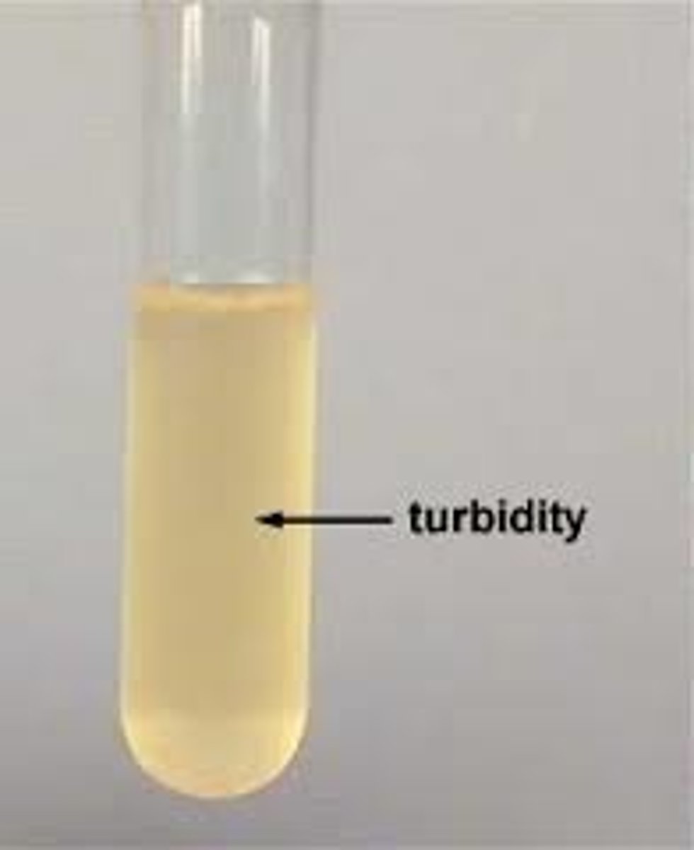 <p><span><span>evenly cloudy throughout</span></span></p>