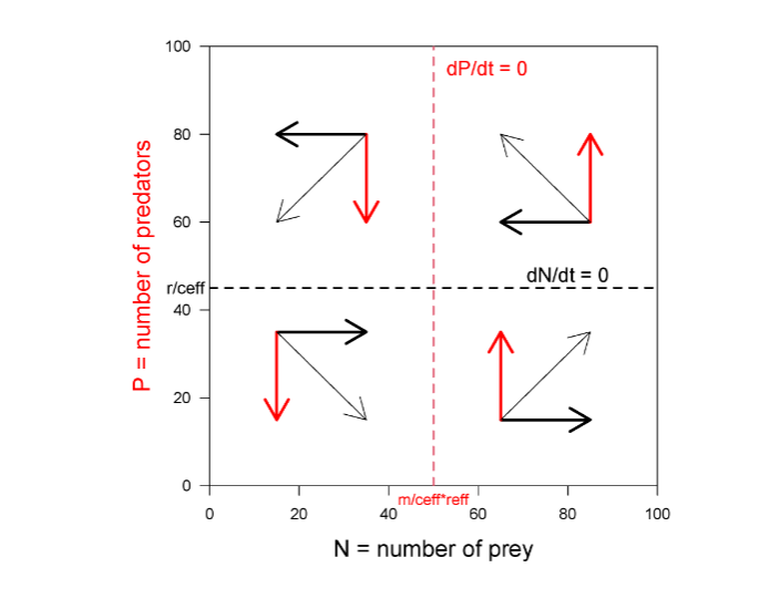 <p>know when prey in increasing/decreasing and predators and increasing/decreasing</p>