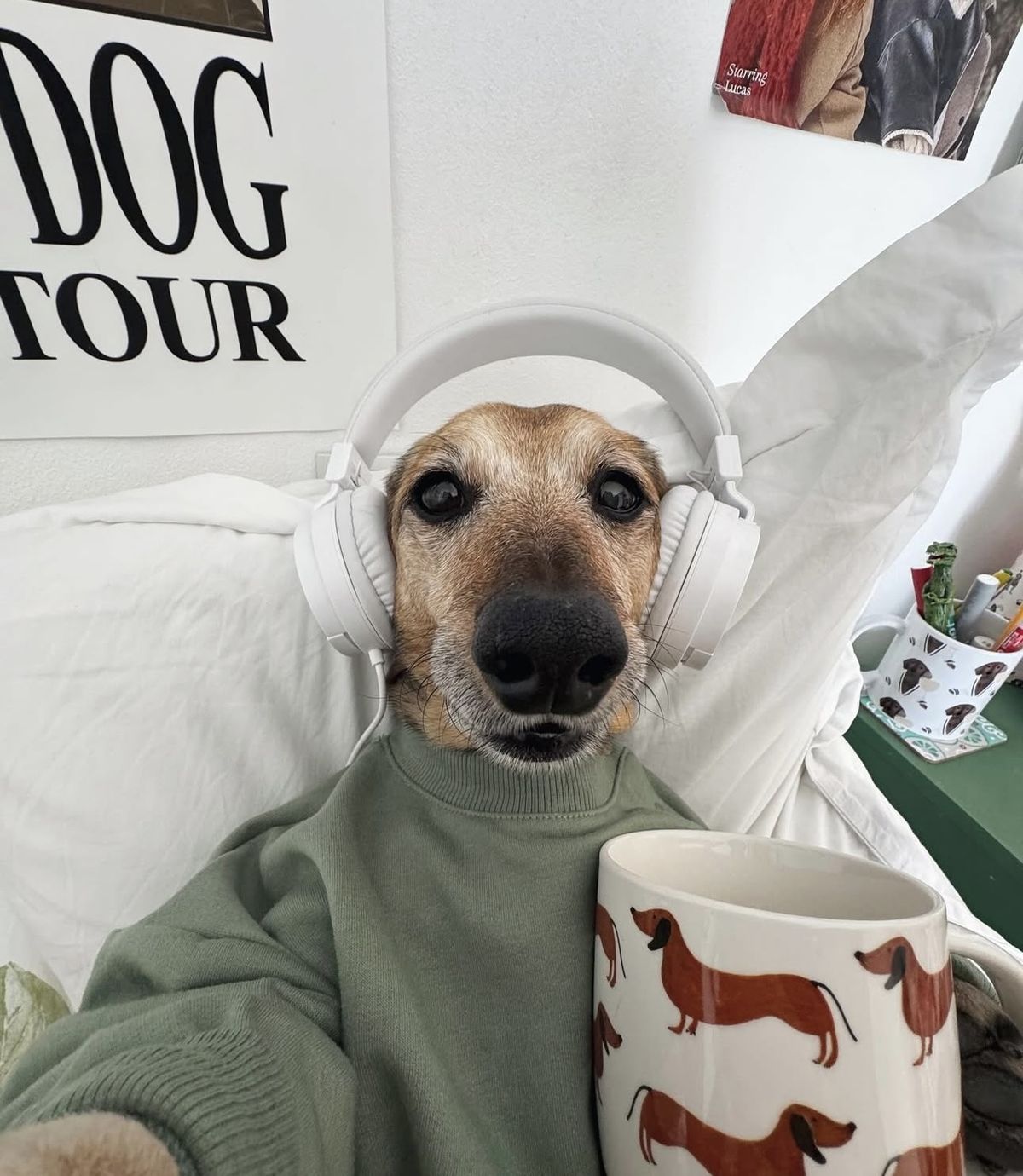 <p>I <strong>listen <u>to</u></strong> music with <strong>headphones</strong>.</p>