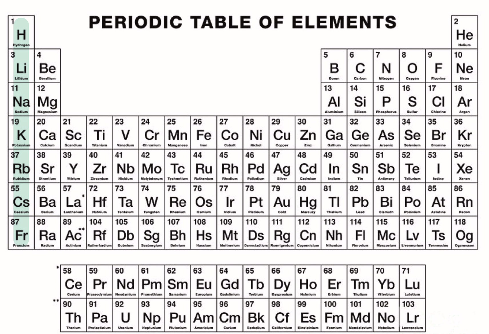 <p>What family is the highlighted area?</p>