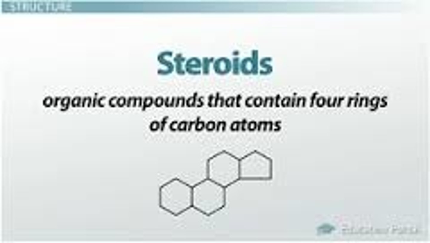 <p>lipids with 4 fused carbon rings</p><p>Example: Cholesterol</p><p>-used in cell membranes</p><p>-precursor for other steroids (sex hormones)</p><p>-atherosclerosis</p>