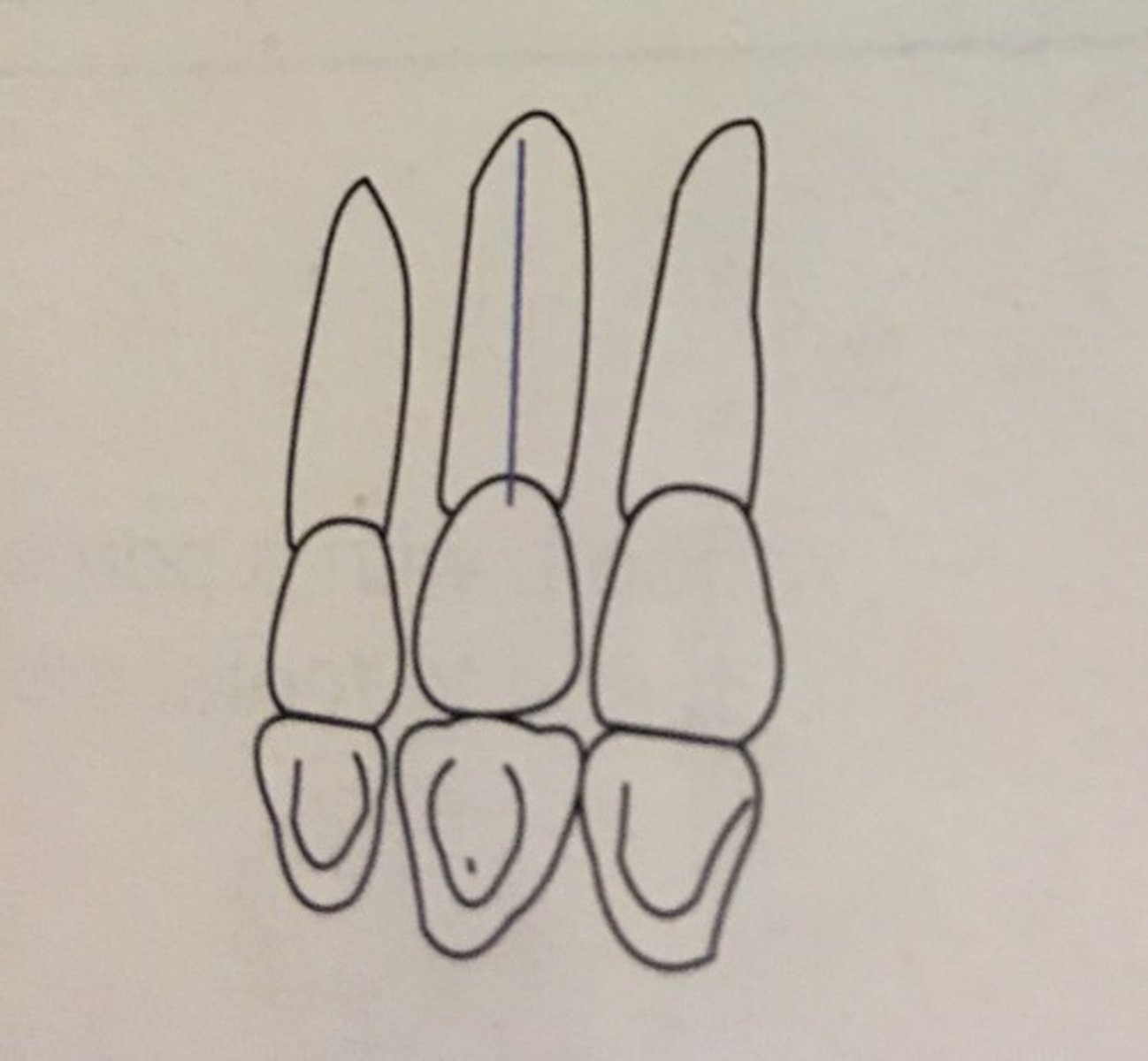 knowt flashcard image