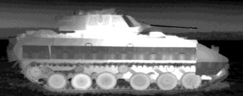 term image