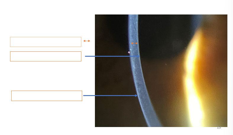 <p>What are these parts?</p>