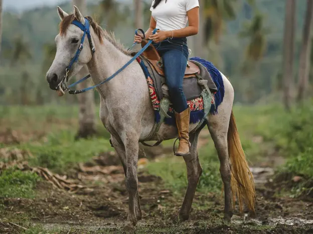 <p><strong>Philippine Light Horse (Baguio Light Horse)</strong></p>