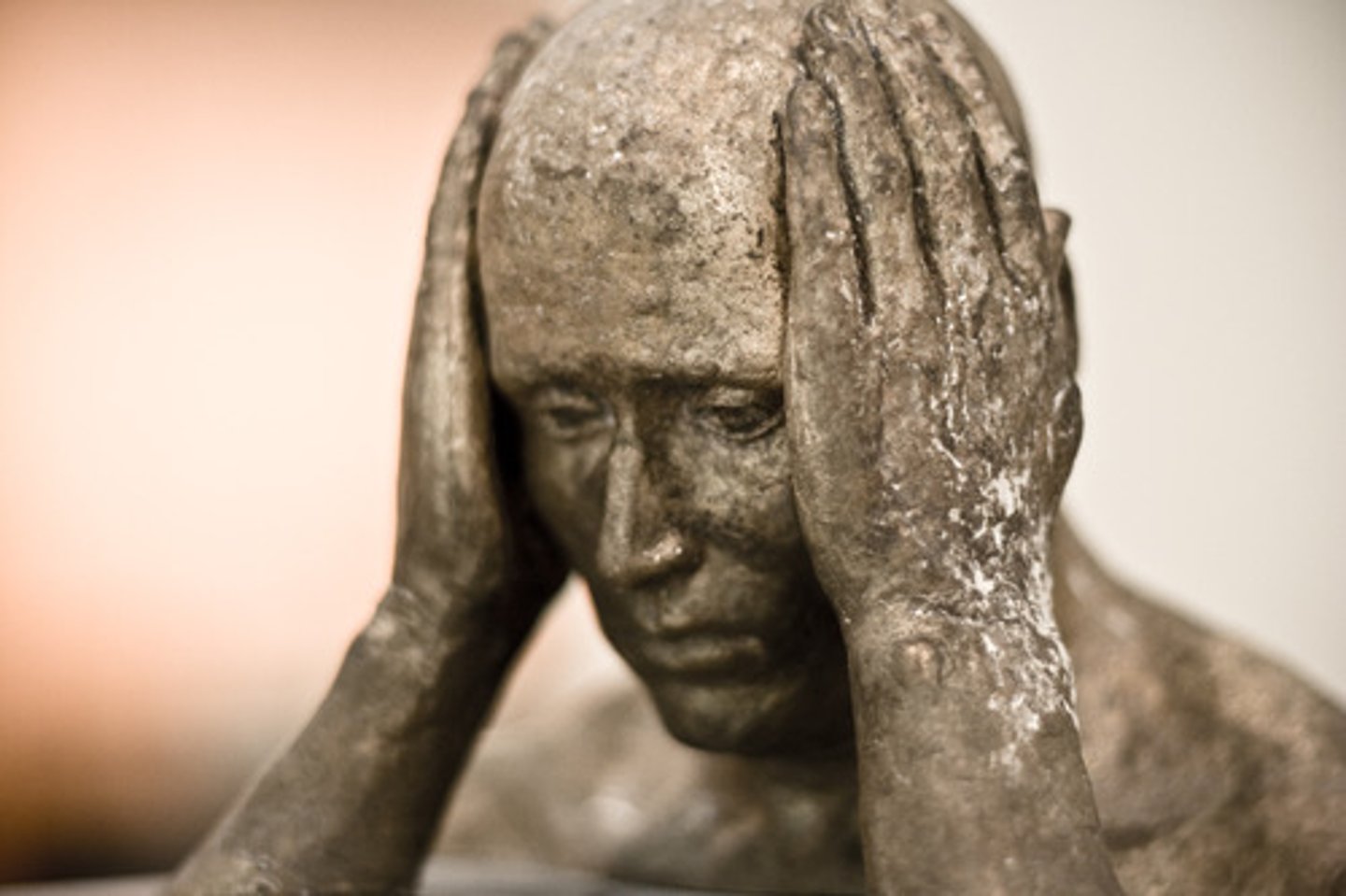 <p>head</p>