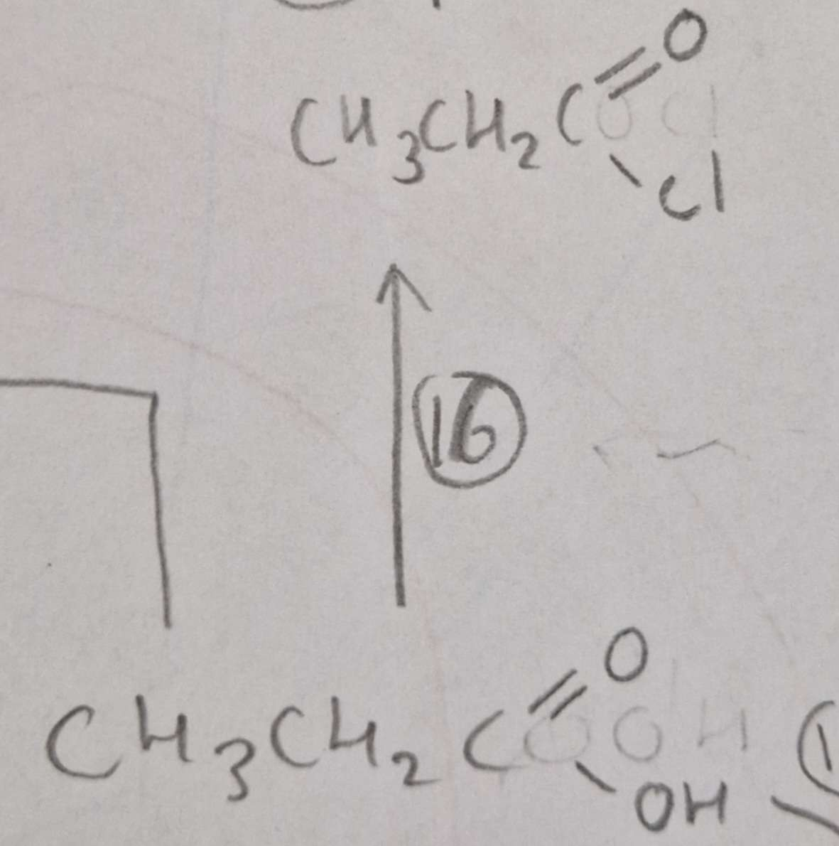 <p>Carboxylic Acid to Acyl Chloride Conditions: </p>