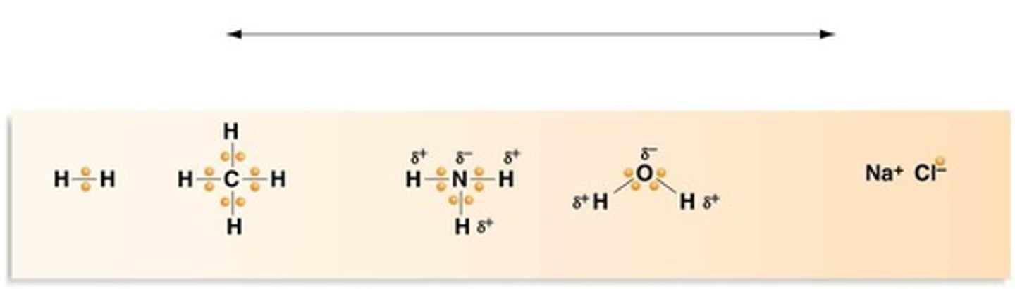 <p>The continuum ranges from equal sharing in nonpolar covalent bonds to unequal sharing in polar covalent bonds, to complete transfer of electrons in ionic bonds.</p>