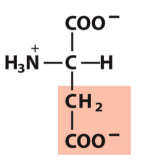 <p>Asp, D</p><p>Negative</p>