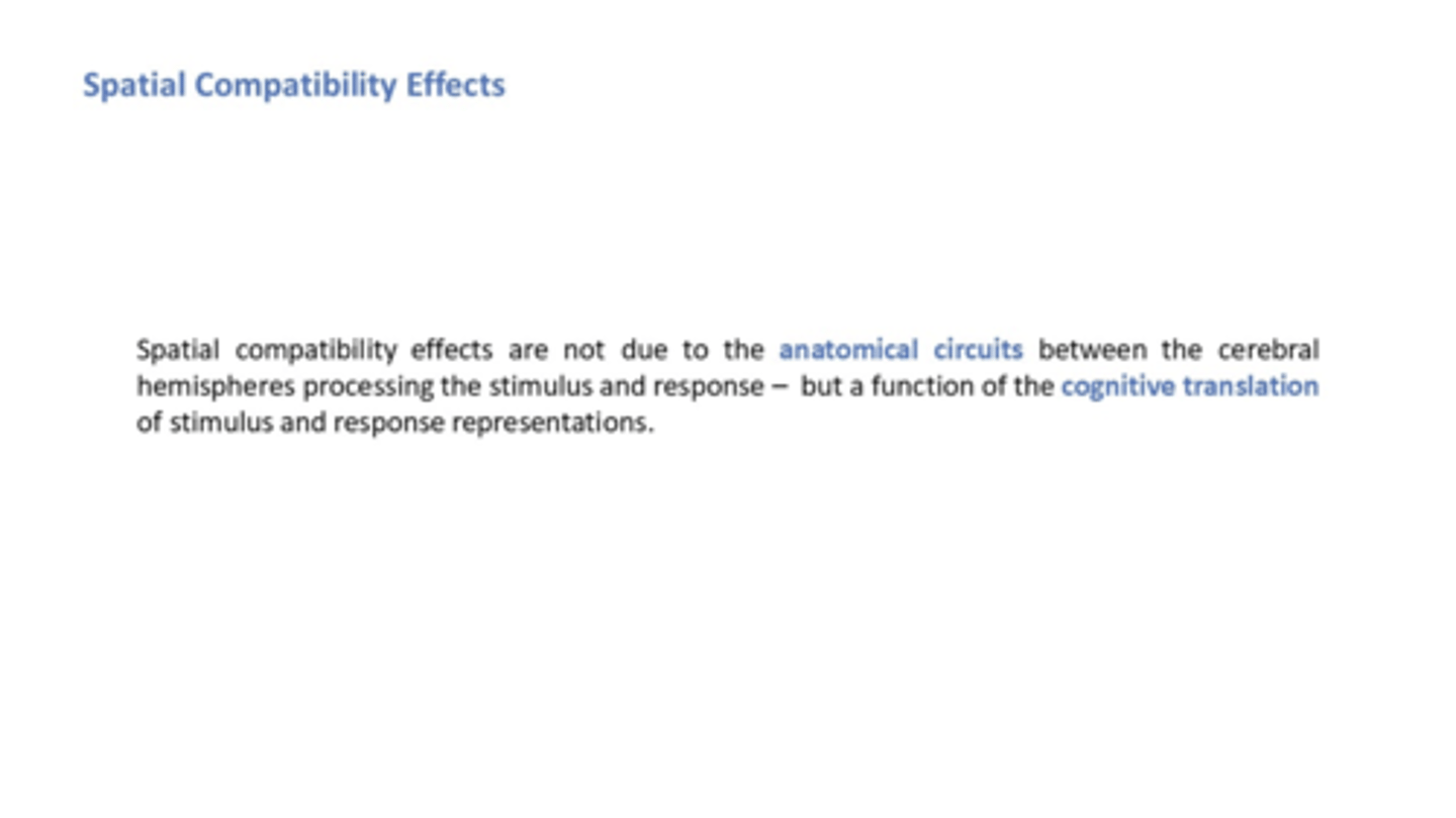 <p>spatial compatibility effects are not due to anatomical circuits between cerebral hemispheres processing the stimulus and response</p><p>they are a function of the cognitive translation of stimulus and response representations</p>