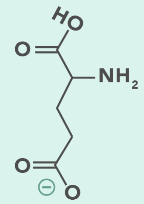 <ul><li><p>Negatively Charged (Acidic)</p></li><li><p>pKa = 4.3</p></li></ul><p></p>