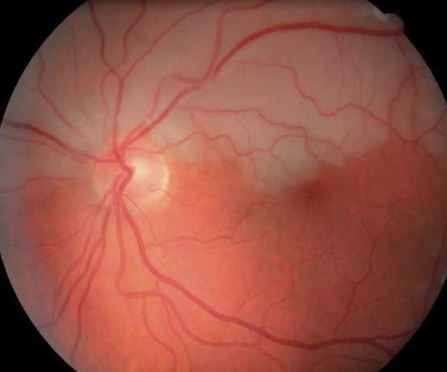 <p>what this and how do you know</p>