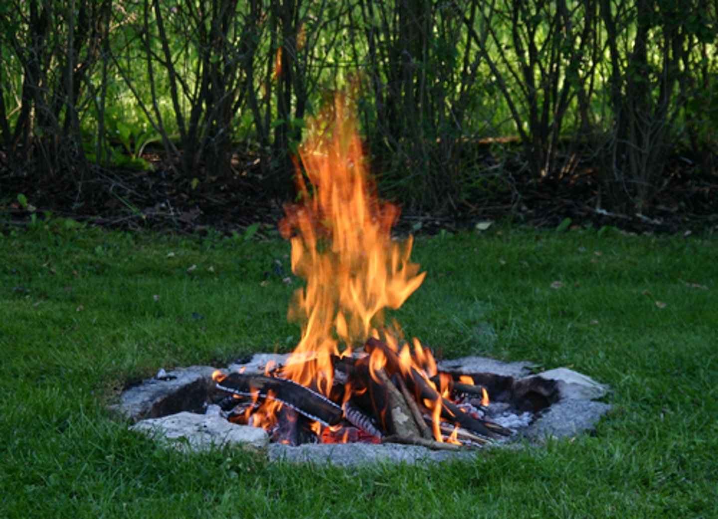 <p>exothermic</p>