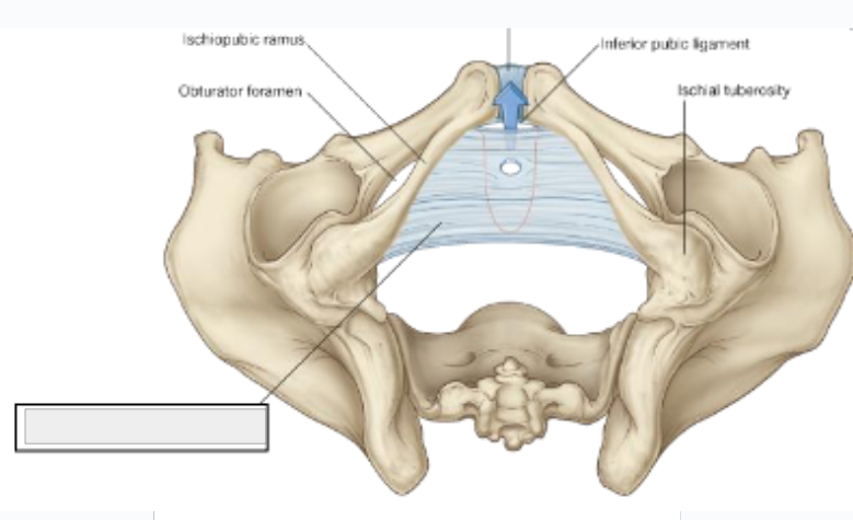 <p>what structure is that?</p>