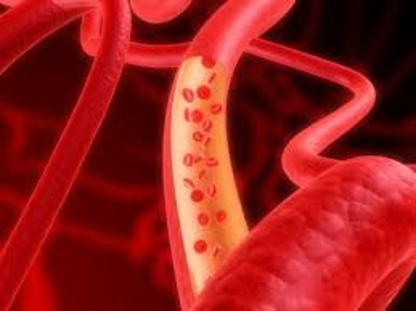 <p>tubelike structures that carry blood throughout the body</p>