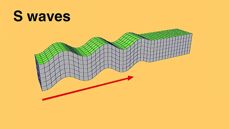 <p>Transverse waves that travel through only solids, slower than p-waves.</p>