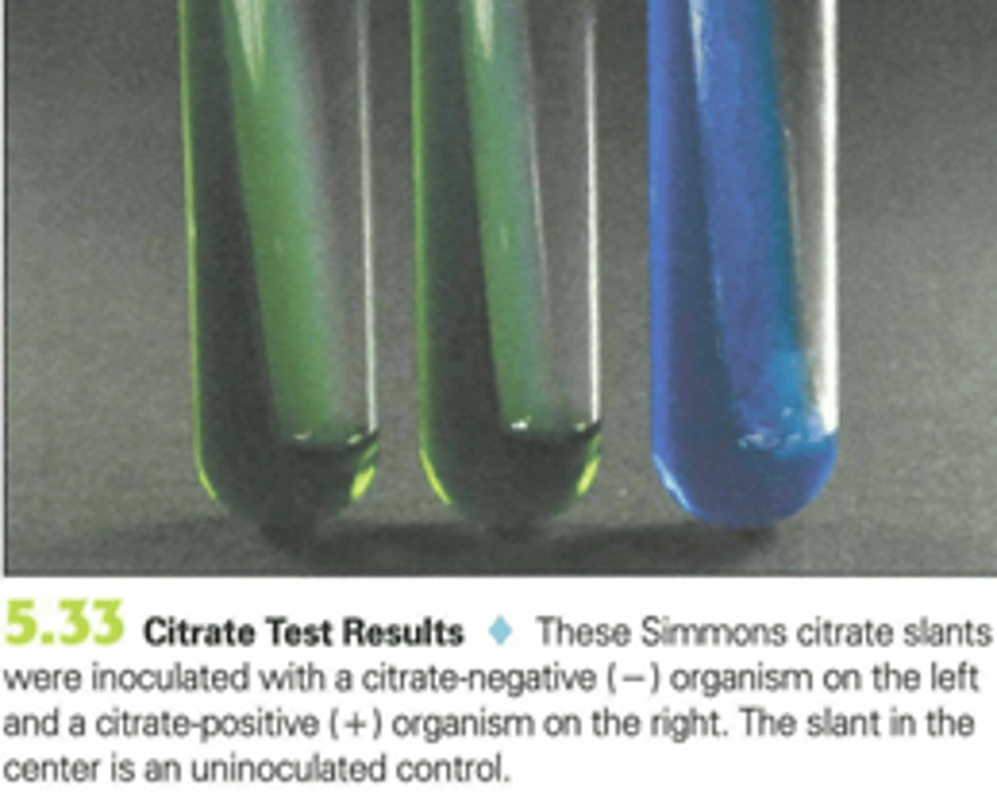 <p>blue, green</p>