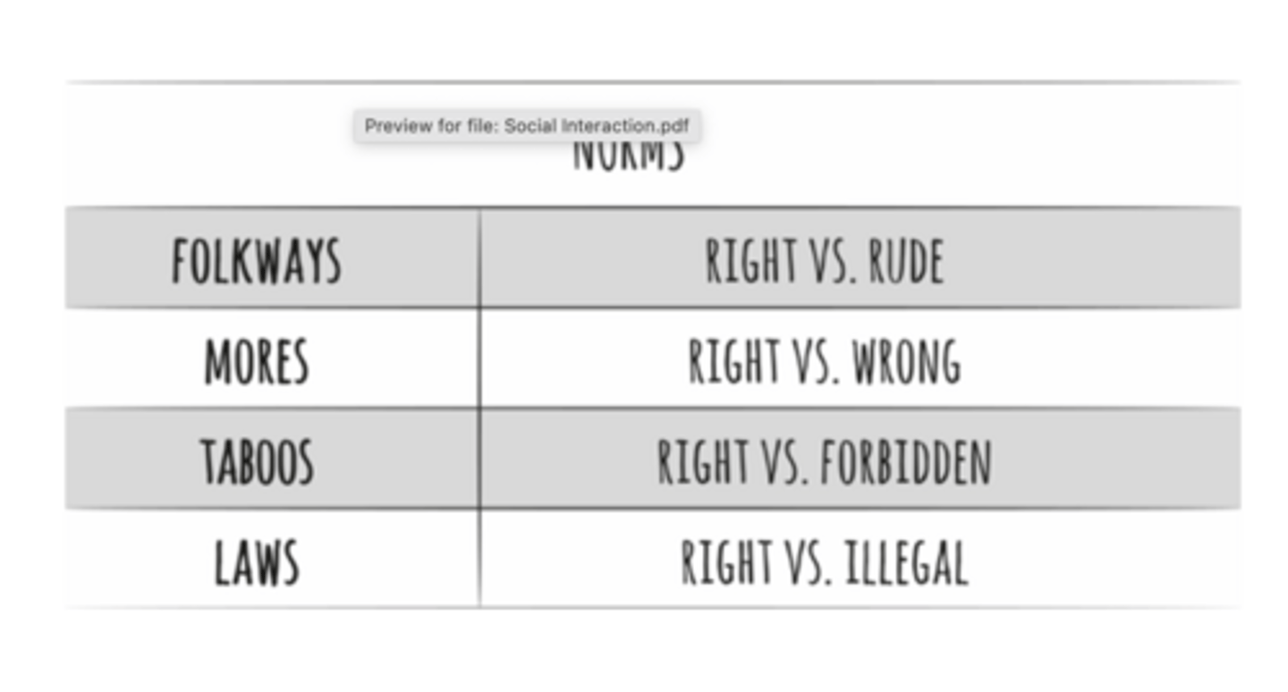 <p>culturally specific norms, policies, and laws that guide our behavior</p><p>- folkways</p><p>-mores</p><p>- taboos</p><p>- policies</p><p>- laws</p>