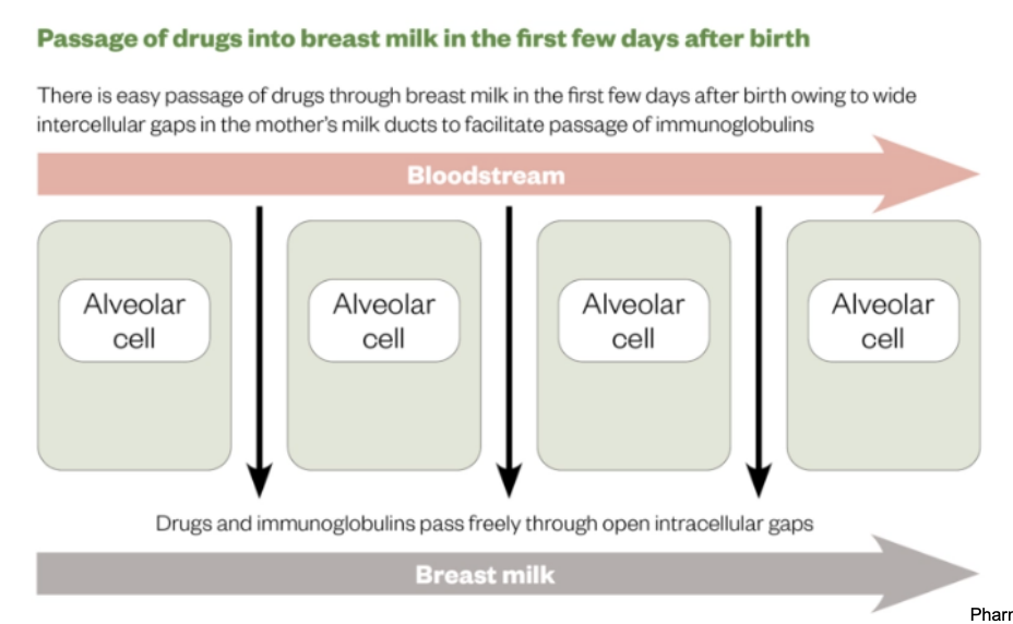 <p>Reason - to protect baby from infection - it is a way of passing on immunity</p><p>Also means medications enter from bloodstream into breastmilk more easily.</p>