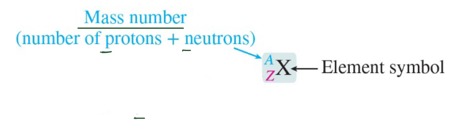 <p>the total number of protons and neutrons</p>