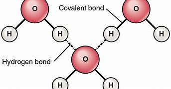 <p>bond formed exhibited inside a particle </p>