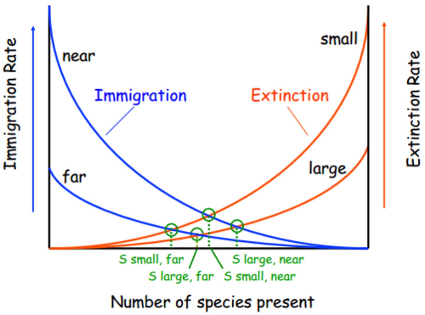 <p>The study of how species are distributed and interacting on islands</p>