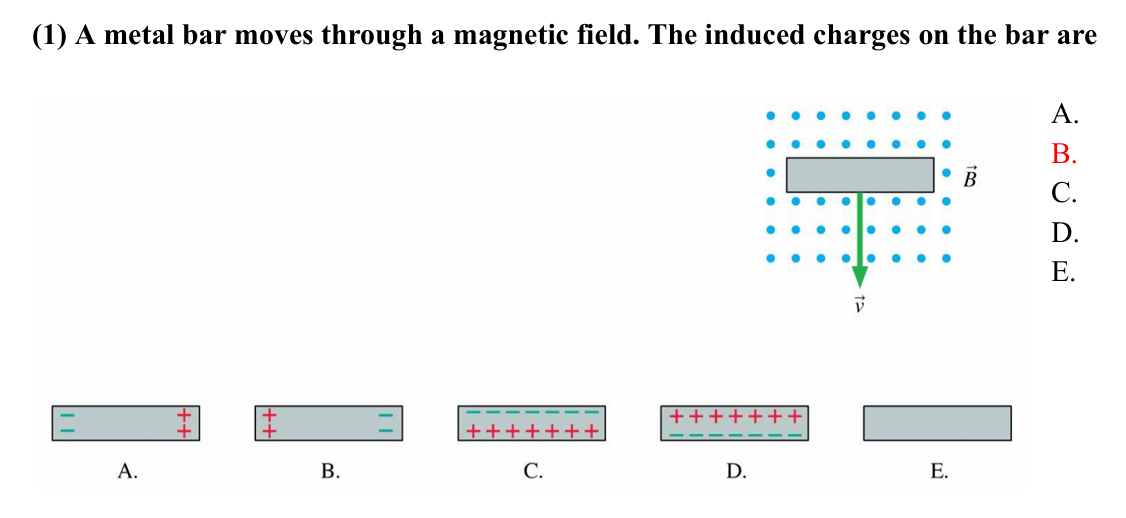 <p>B. </p><p>The magnetic field points out of the page and the velocity points downward. For rhr, can reverse both directions (pointer/B points into page, thumb/v points up) so that the middle points in the direction of the magnetic force on a positive charge. The force on positive charges points to the left. The force on the negative charges points in the opposite direction.</p>