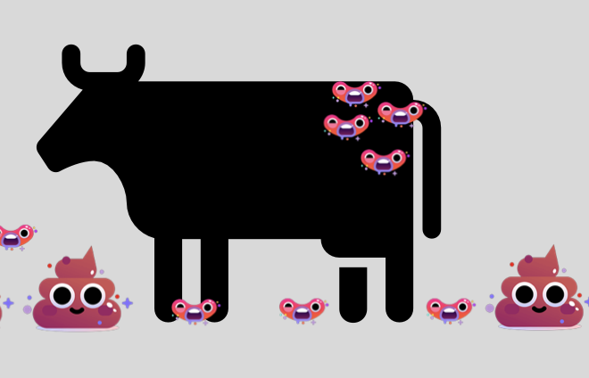 <p>-herd dynamics (taking away/adding animals)</p><p>-handling practices</p><p>-management of calving pens</p>