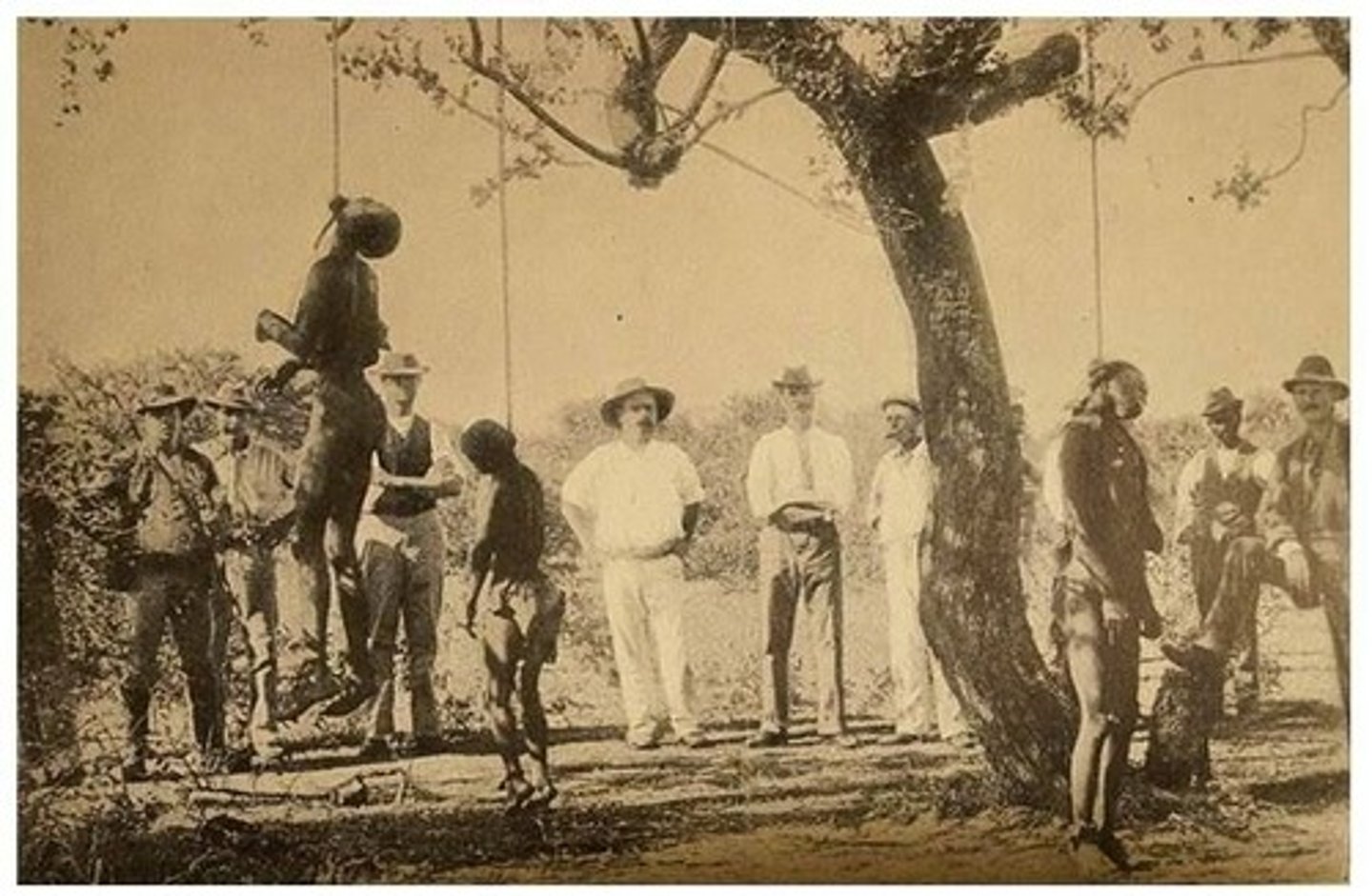 <p>A campaign of racial extermination and collective punishment against the Herero people.</p>