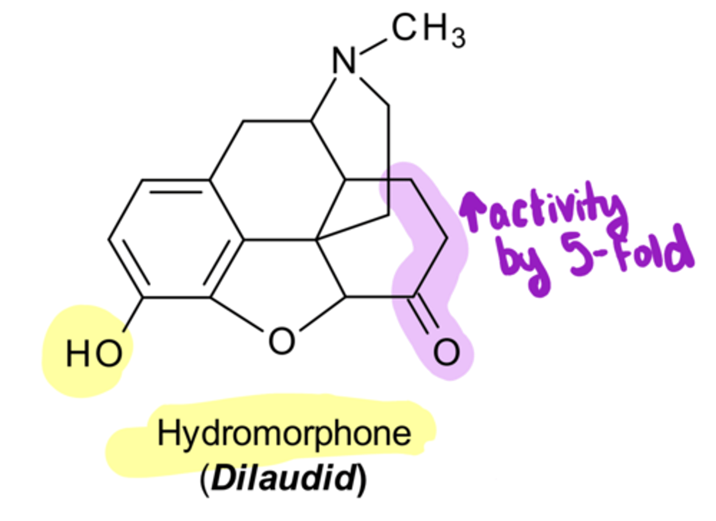 <p>Hydromorphone</p><p>-pharmacological effects are 5-fold ____ than morphine because only 1 variation from morphine, which is reduction of the Δ⁷/ oxidization the C6-OH to a ketone</p>