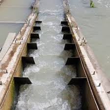 <p>fishway: denil </p>