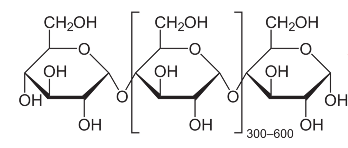 <ul><li><p>poly-alpha (1,4) glucose</p></li><li><p>Linear chains usually between 300-600 but up to 4000 repeating units </p></li><li><p>Found in plants, about 20-30% starch </p></li></ul><p></p>