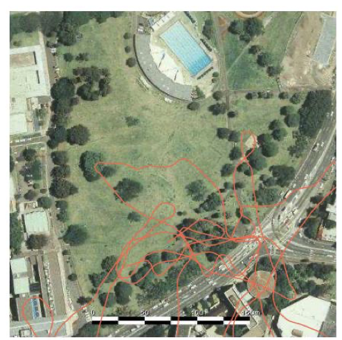 <p>Why is the path integration of the robot so inaccurate?</p>