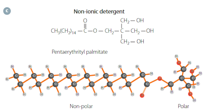 <p>the head group is polar with a hydrocarbon tail</p>