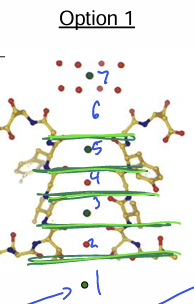 <p>K+ ion (green dot) completely _____________ but near the mouth of the channel (7th “binding” site).</p>