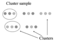 <ul><li><p>One-stage cluster sampling: Population is divided into clusters, and some of these clusters are randomly selected into your sample </p></li><li><p>Two-stage cluster sampling: Sub-samples are selected from each cluster</p></li><li><p>Cost &amp; time efficient, but usually results in lowest precision </p></li></ul>