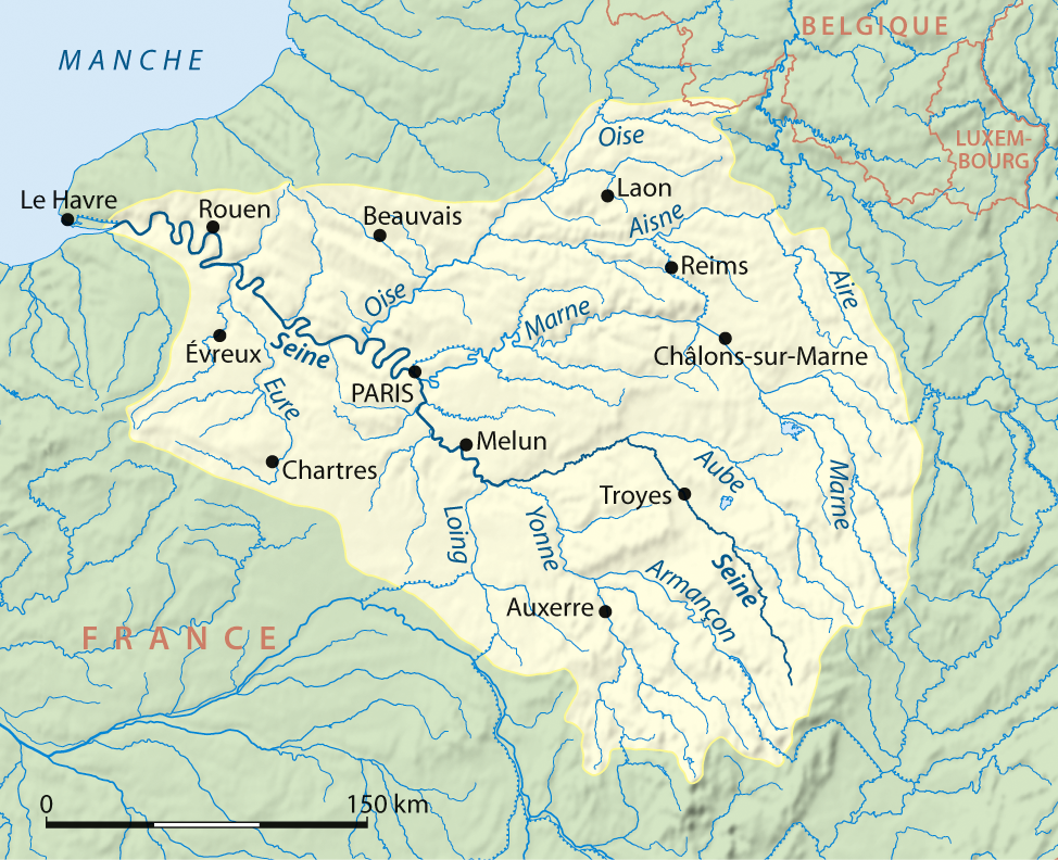 term image