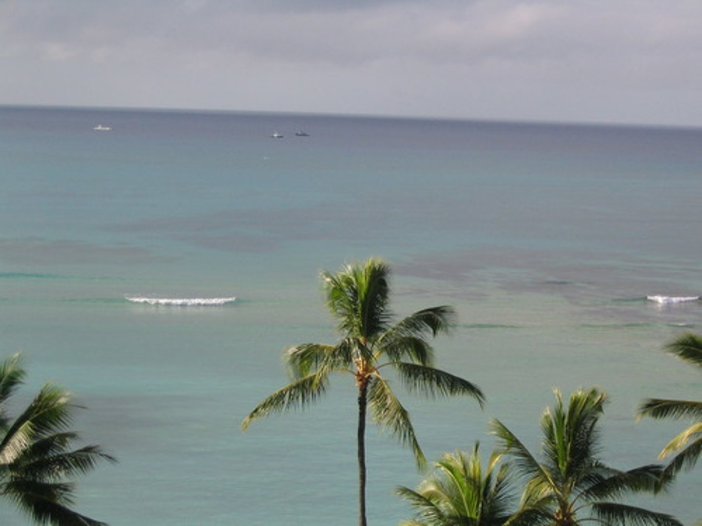 <p>All the water at and near the surface of the earth, 97% of which is in oceans</p>