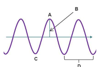 <p>label the parts of the wave</p>