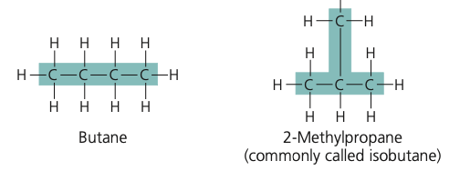 <p>structural isomer</p>