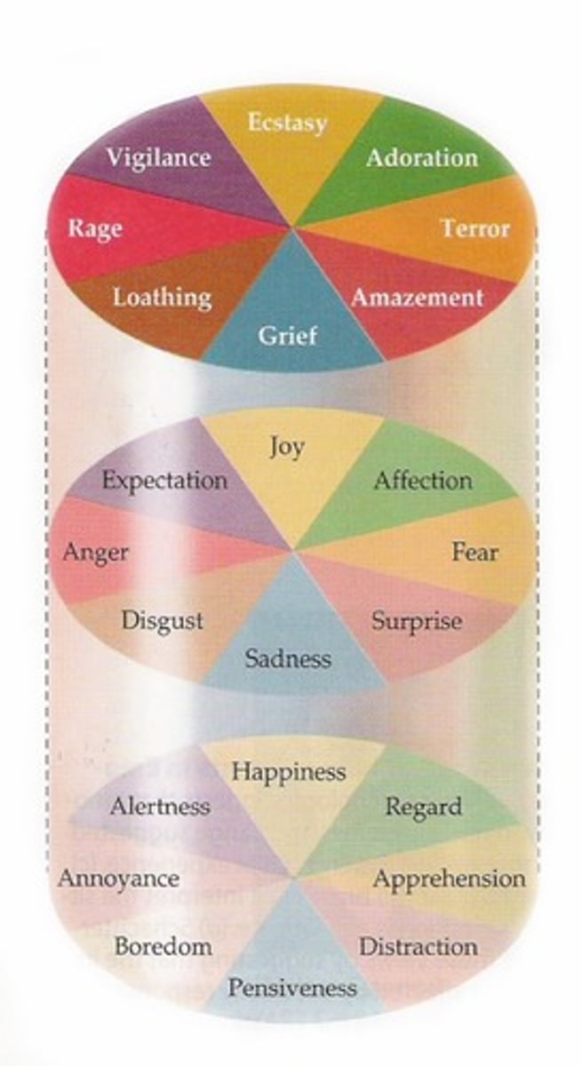 <p>4 pairs of opposite emotions:</p><p>- Joy/sadness</p><p>- Affection/disgust</p><p>- Anger/fear</p><p>- Expectation/surprise</p><p>All other emotions are derived from a combo of these.</p>