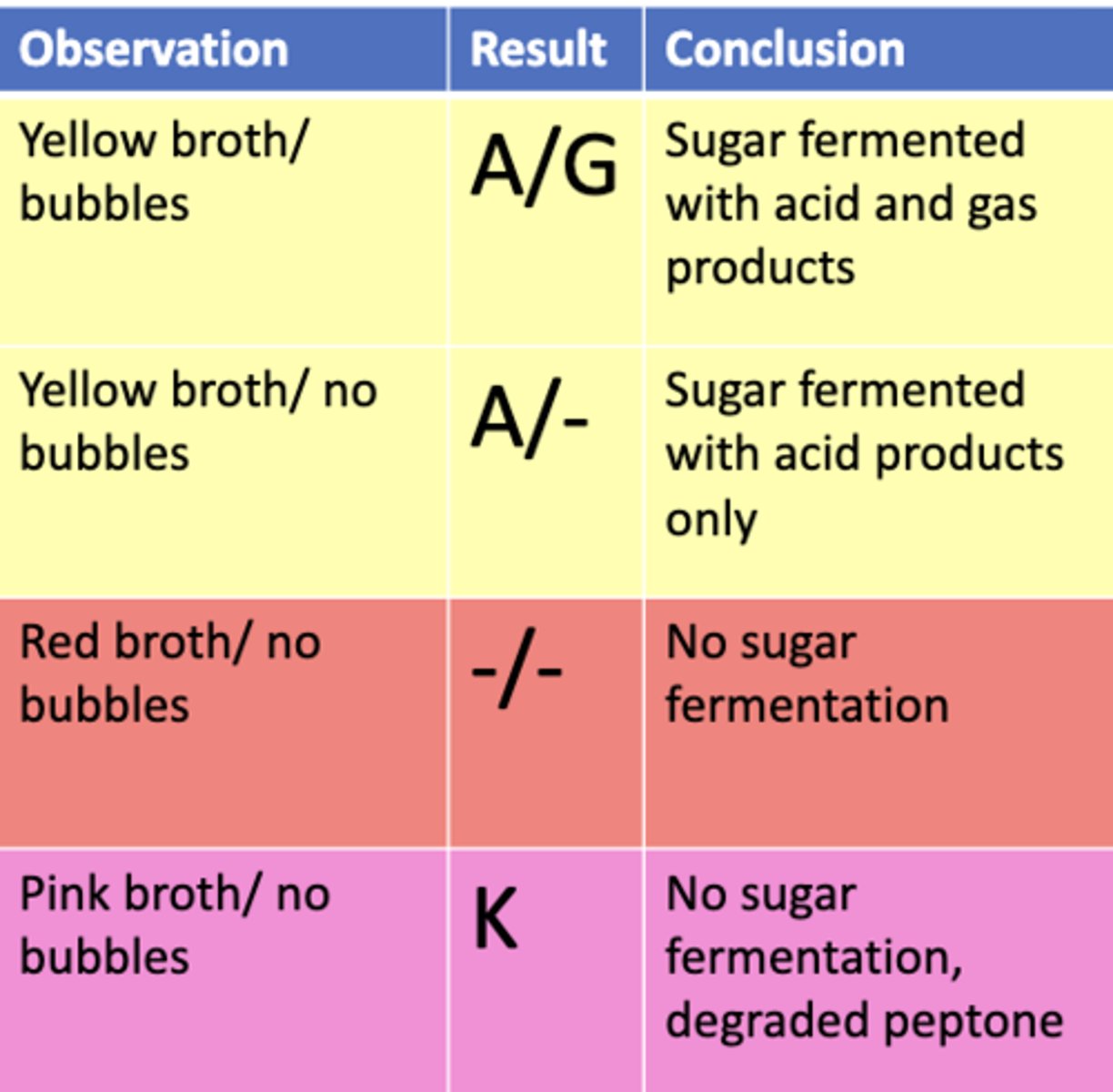 <p>K</p><p>No sugar fermentation, peptone degraded</p>