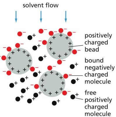 <p>slows the movement of molecules of opposite charge</p><p>Matrices used include diethylaminoethylcellulose (DEAE-cellulose) = <strong>+vely</strong> charged or carboxymethylcellulose (CM-cellulose)= <strong>-vely</strong> charged.</p><p>Strength of association depends on ionic strength and pH of the solution.</p>