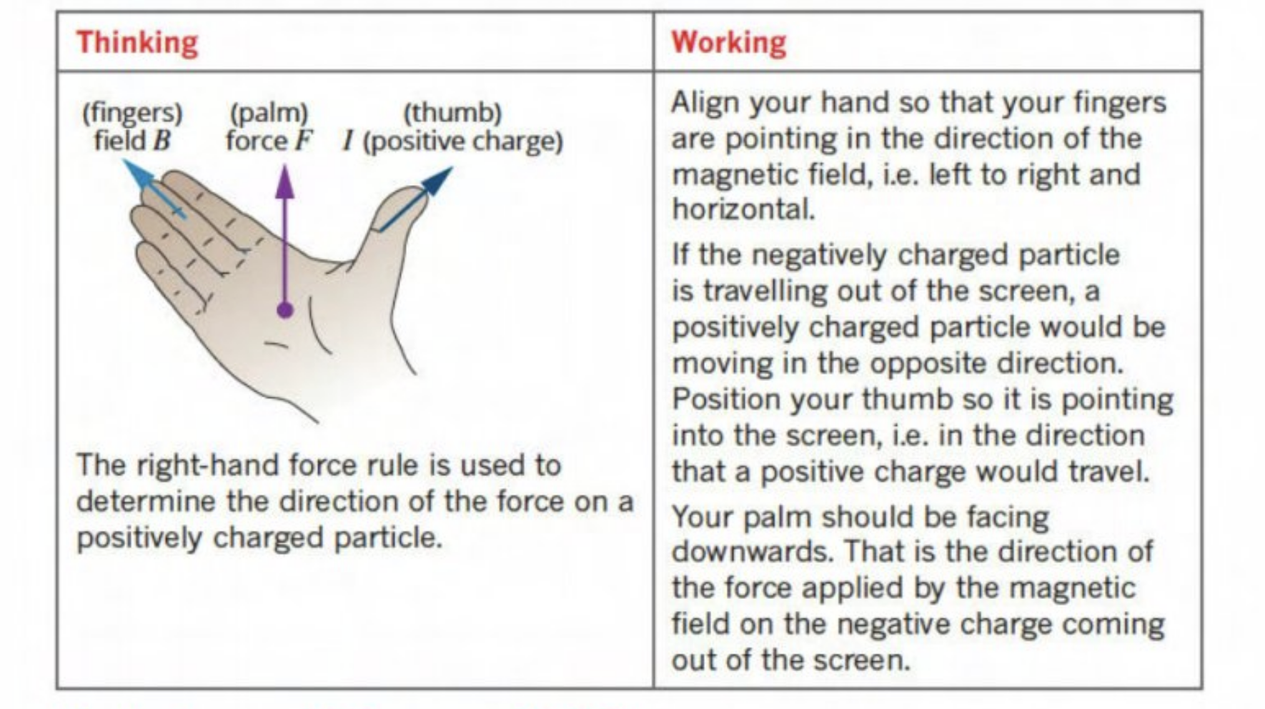 knowt flashcard image