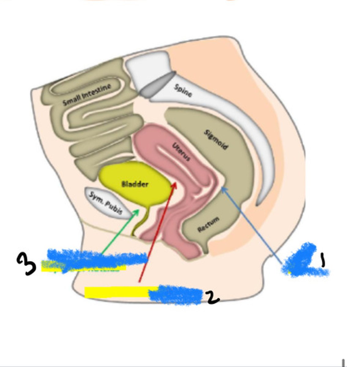<p>1</p>