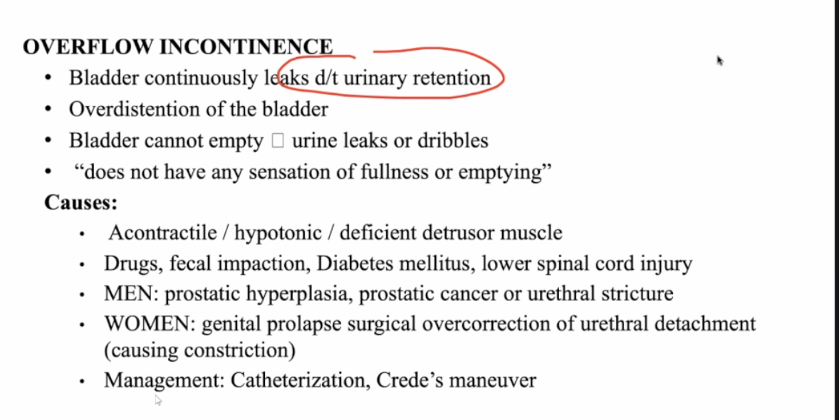 <ul><li><p>C&nbsp;</p></li><li><p>LMNL - arreflexive bladder&nbsp;</p></li><li><p>Overflow incontinence</p></li></ul><p></p>